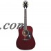 Pro-1 Acoustic   565863029
